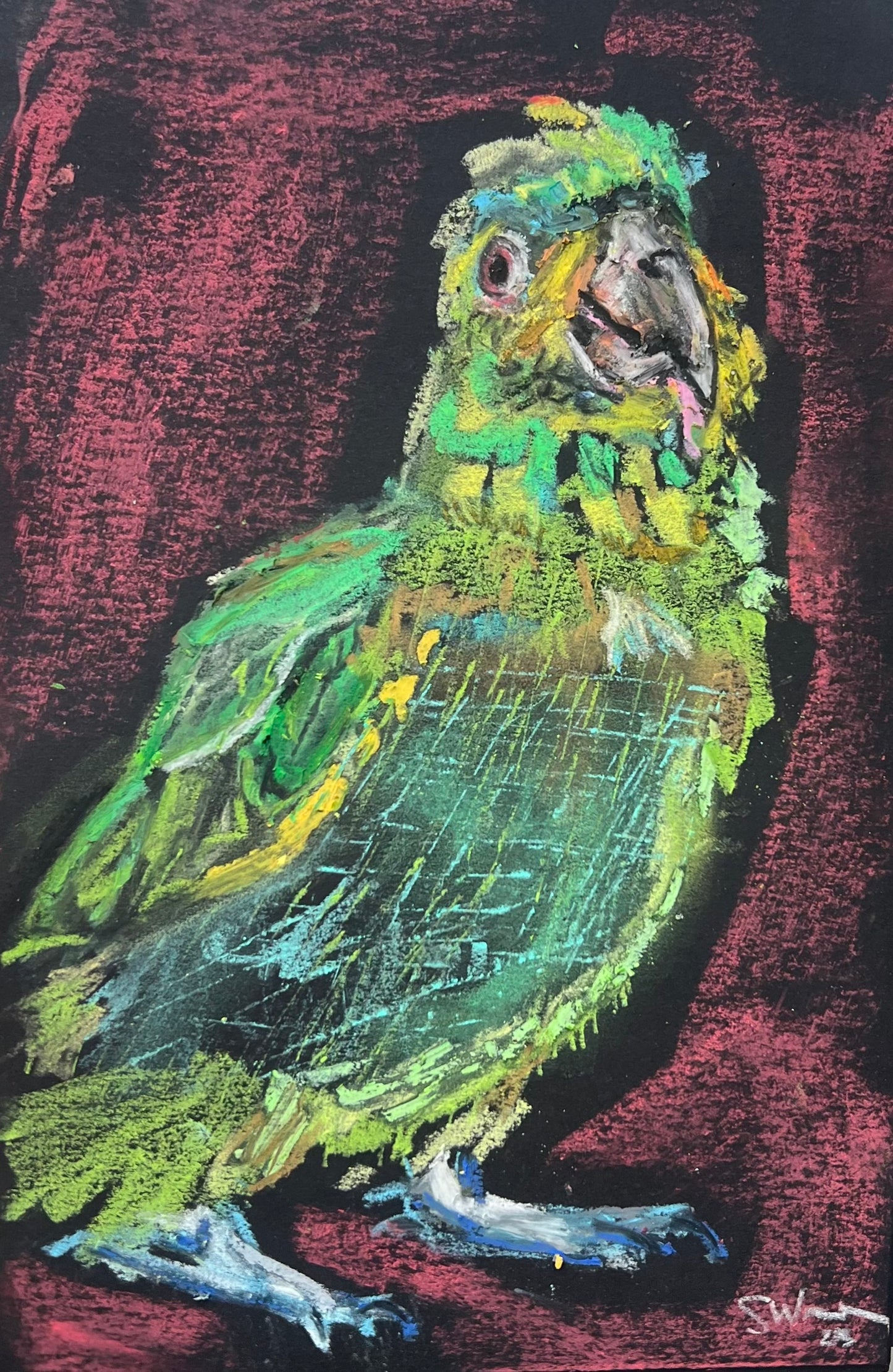 "Parrot of the Amazon" Print